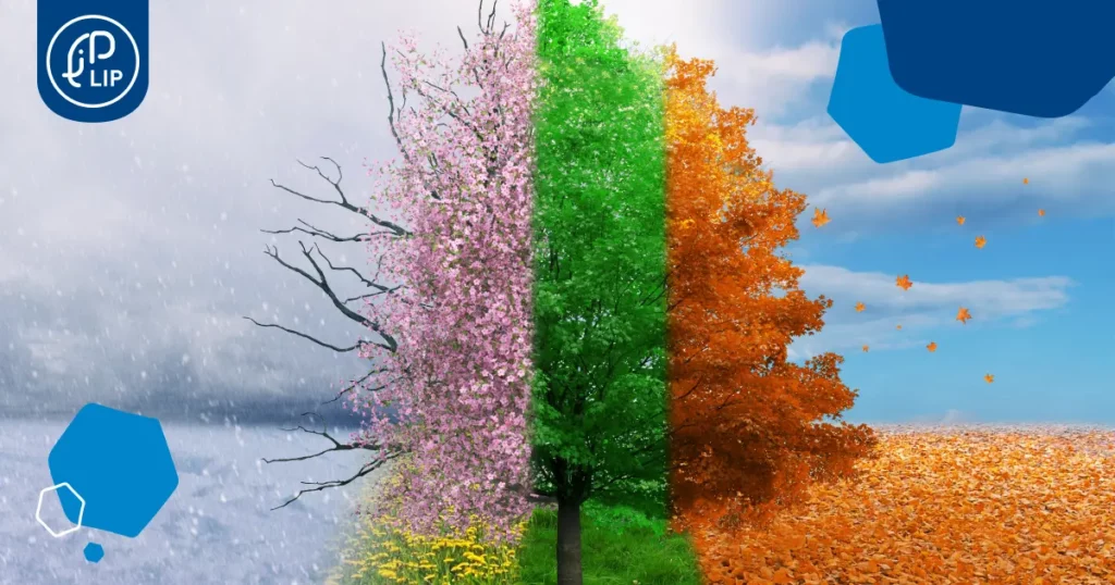 embaucher en contrat saisonnier